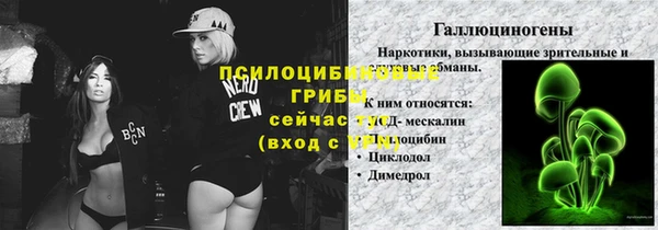 прущие грибы Козельск