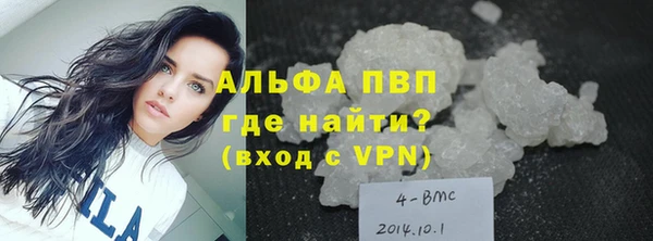 прущие грибы Козельск