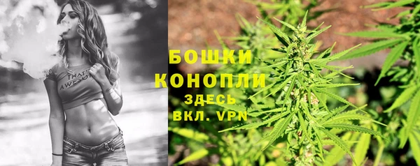 прущие грибы Козельск